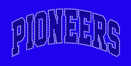 PIONEERS 2 Color Spangle Transfer